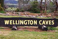 Wellington Caves